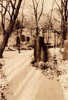friedhof 02