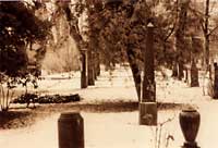 friedhof 04