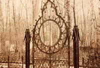 friedhof 05