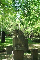 friedhof 03