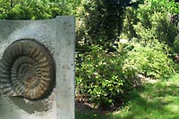 friedhof 04
