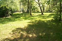 friedhof 05